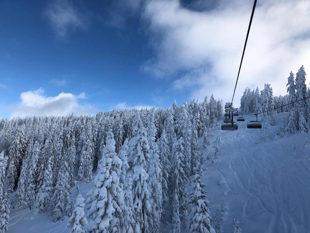 Apparthotel Restaurant Steiners Eben Im Pongau Bagian luar foto